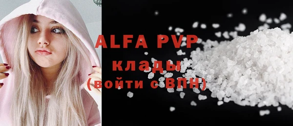 стаф Кущёвская